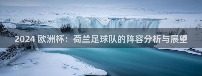 欧洲杯可以买冠亚军吗：2024 欧洲杯：荷兰足球队的阵容分析与展望