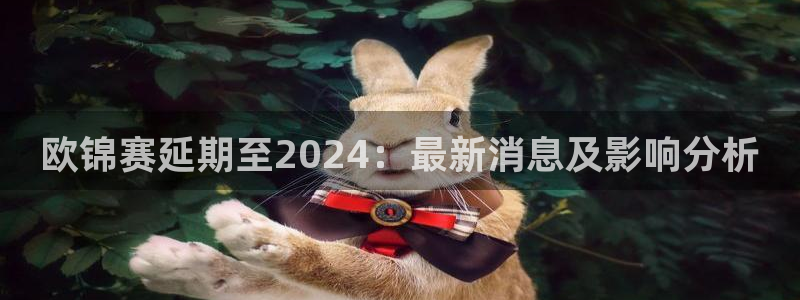 2024欧洲杯买球手机版：欧锦赛延期至2024：最新消息及影响分析