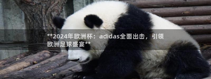 2024欧洲杯押注官网：**2024年欧洲杯：adidas全面出击，引领
欧洲足球盛宴**