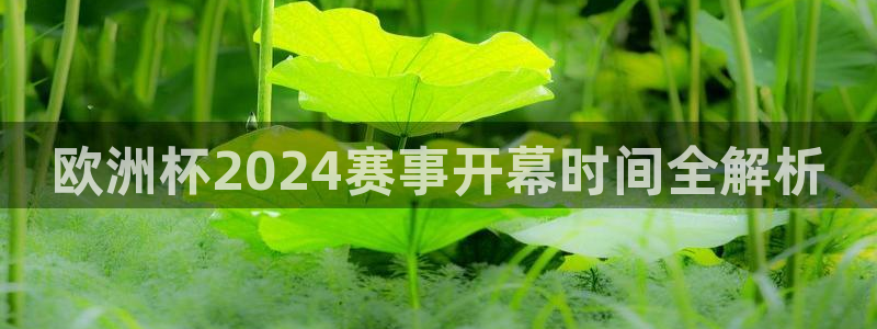 欧洲杯可以买冠亚军吗|欧洲杯2024赛事开幕时间全解析