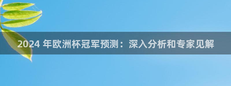 欧洲杯kaiyun|2024 年欧洲杯冠军预测：深入分析和专家见解