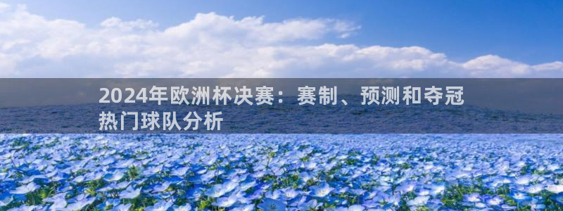 欧洲杯下单平台官方网站|2024年欧洲杯决赛：赛制、预测和夺冠
热门球队分析