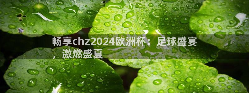 welcome欧洲杯官网|畅享chz2024欧洲杯：足球盛宴
，激燃盛夏