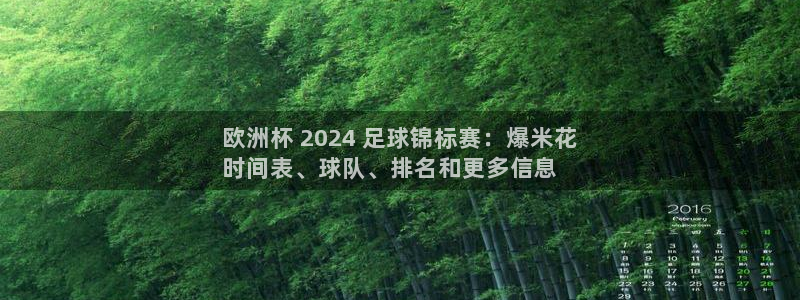 欧洲杯下单网址|欧洲杯 2024 足球锦标赛：爆米花
时间表、球队、排名和更多信息