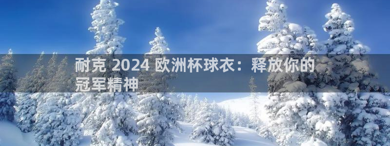 买球平台官方网站|耐克 2024 欧洲杯球衣：释放你的
冠军精神