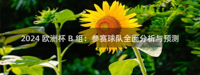 足球赌注平台app|2024 欧洲杯 B 组：参赛球队全面分析与预测