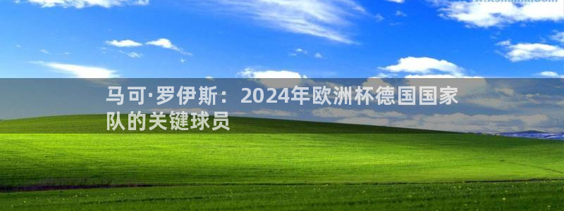 欧洲杯下赌注平台|马可·罗伊斯：2024年欧洲杯德国国家
队的关键球员